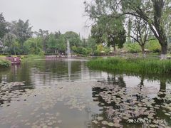-成飞公园