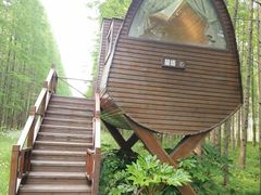 -黄海国家森林公园