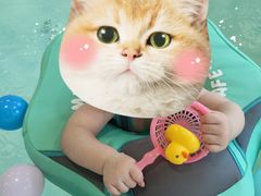 -亲亲袋鼠托育早教·思维专注力·棕熊英语(鼓楼恒力城店)