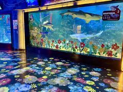 -烟台海昌鲸鲨海洋公园