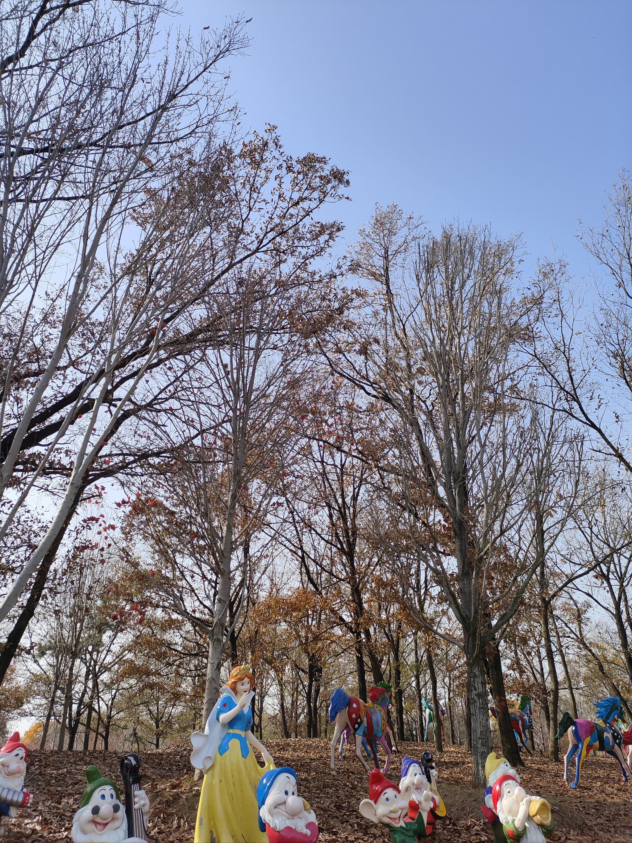坐落在六合区竹镇大泉湖畔的「南京枫彩漫城」
每逢秋季,各种色彩的