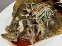 清蒸多宝鱼-神洲四海大酒楼(王府井澳门中心店)