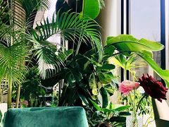 -chenity  cafe