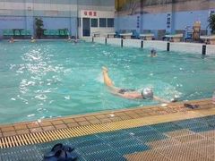 -上海浦东康桥绿地假日酒店