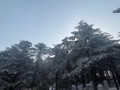 景点-峨眉山风景名胜区