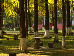 -四川大学(望江校区)