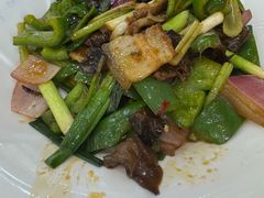 -鸿达渔港
