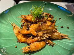 -桂满陇·海市蜃楼·黑金(国金店)