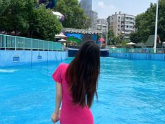 -武汉市青少年宫水上世界