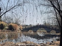 -渤公岛生态公园