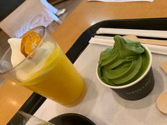 -雪绿茶博物馆