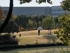 -皇粮浜湿地公园