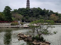 -顺峰山公园