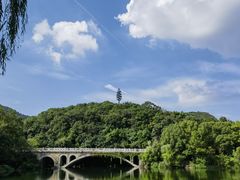 -杭州半山国家森林公园