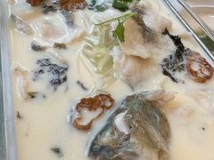 豆浆鲈鱼-老人和饭店(淮海中路店)