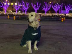 -远洋未来广场(育慧北路店)