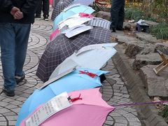 -人民公园-相亲角