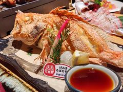 -炉胜·炉端烧·居酒屋