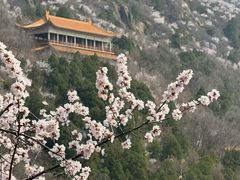 -妙峰山风景名胜区