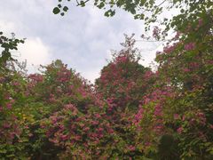 -水濂山森林公园