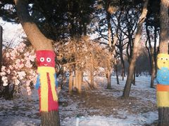 -北陵公园