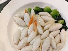 -丽苑大酒店