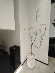 -DIAN DIAN SALON点点
