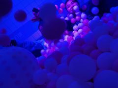 -杭州西湖星空魔幻城(星空艺术馆品牌旗舰店)