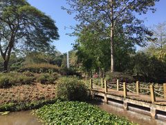 -中国科学院西双版纳热带植物园