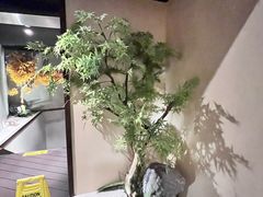 -山上下日本料理(万象城店)
