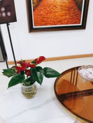 -薇兰专业脱毛连锁机构