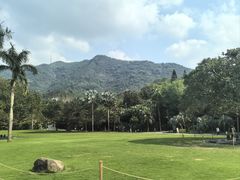 -深圳仙湖植物园