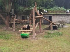 -重庆动物园·东二门售票处