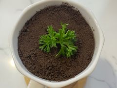 -喵园·猫主题咖啡厅·撸猫·猫咖(国贸店)