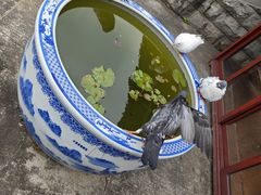 -博鳌禅寺