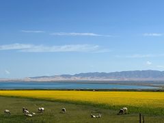 -青海湖国家重点风景名胜区