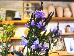 -今日陶艺(富力广场店)