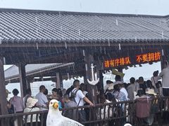 -海驴岛(荣成市)