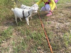 -上海滴水湖皇冠假日酒店