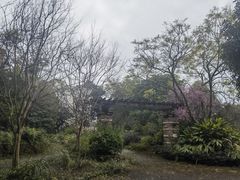 -樱桃山旅游景区