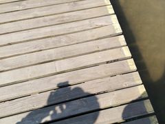 -盐城丹顶鹤湿地生态旅游区