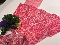 -洋房火锅(上海新天地南北里店)