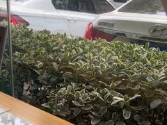 -小秦淮·南京土菜(新亭西路店)