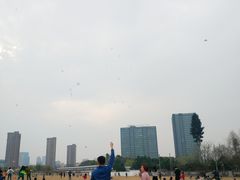 -杭州城北体育公园