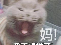 -泰康拜博口腔医院(江北总院)