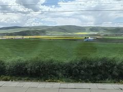 -伊帆食府·青海地方特色美食