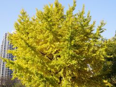 -苏州河梦清园环保主题公园