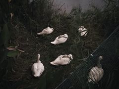 -南宁南湖公园
