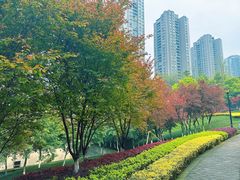-龙头寺公园