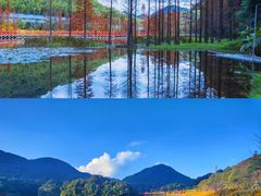 -广州市石门国家森林公园